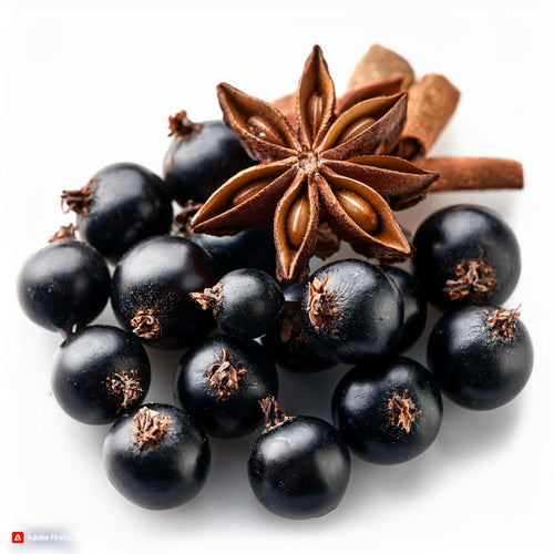 Blackcurrant and Aniseed Food Flavouring - Professional High Strength - 1 Litre