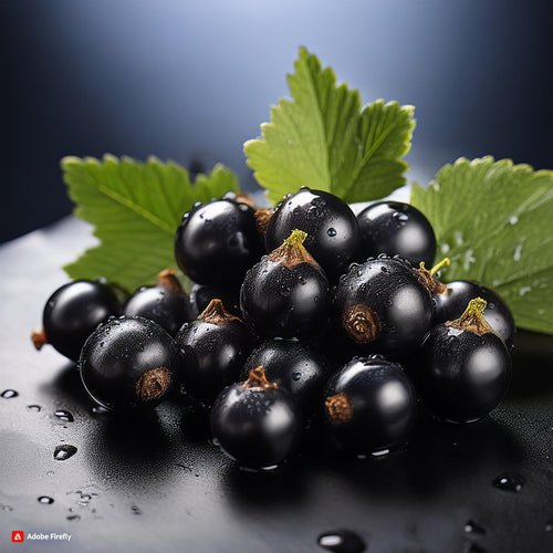 Blackcurrant Food Flavouring - Professional High Strength - 1 Litre