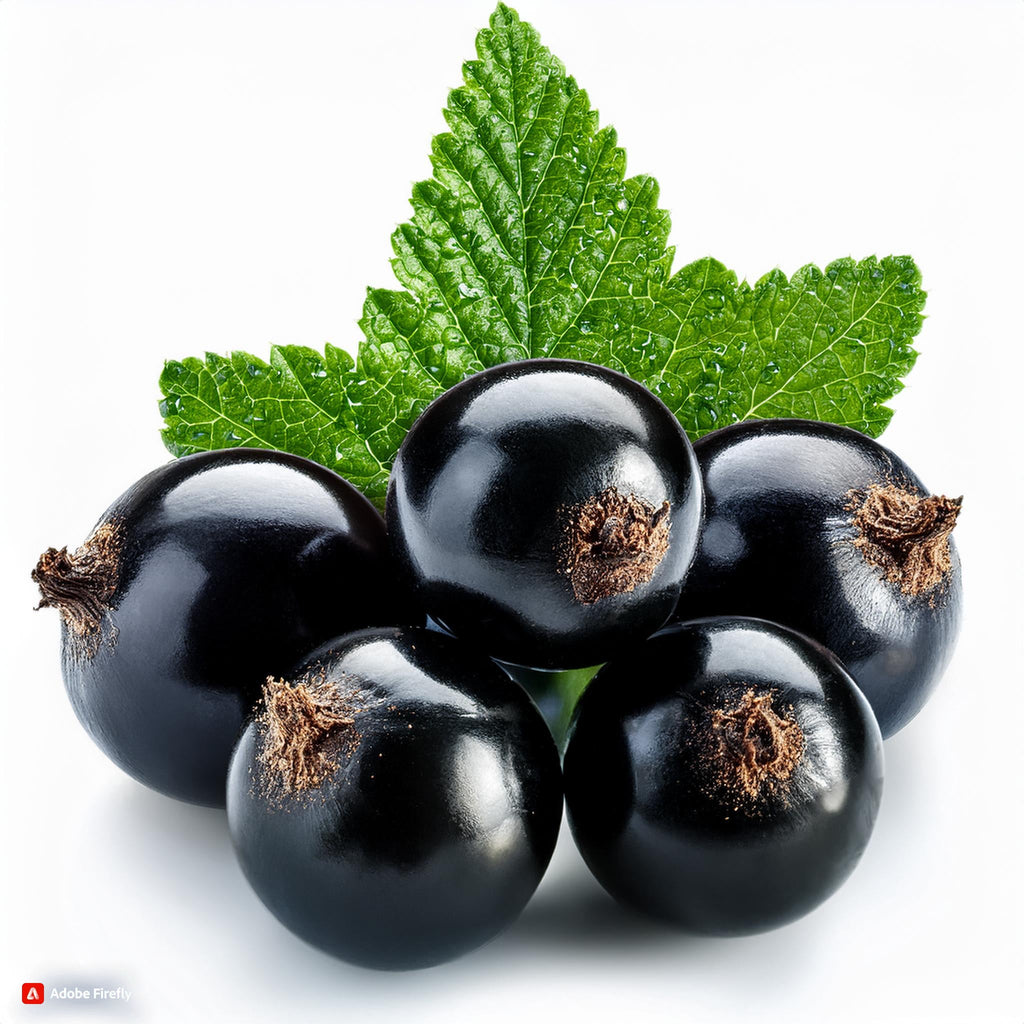 Blackcurrant Menthol Food Flavouring - Professional High Strength - 500ml