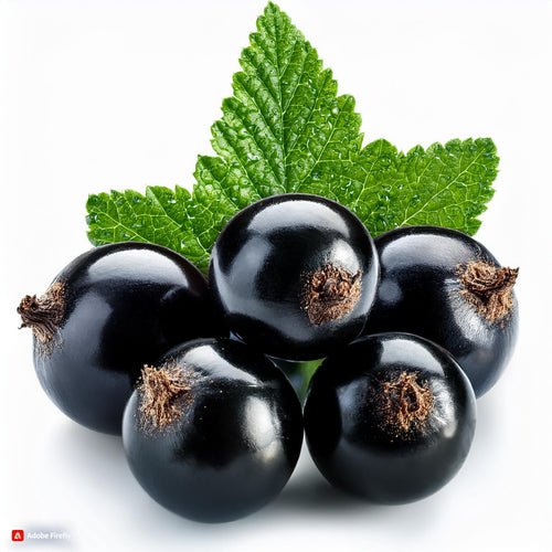 Blackcurrant Menthol Food Flavouring - Professional High Strength - 250ml