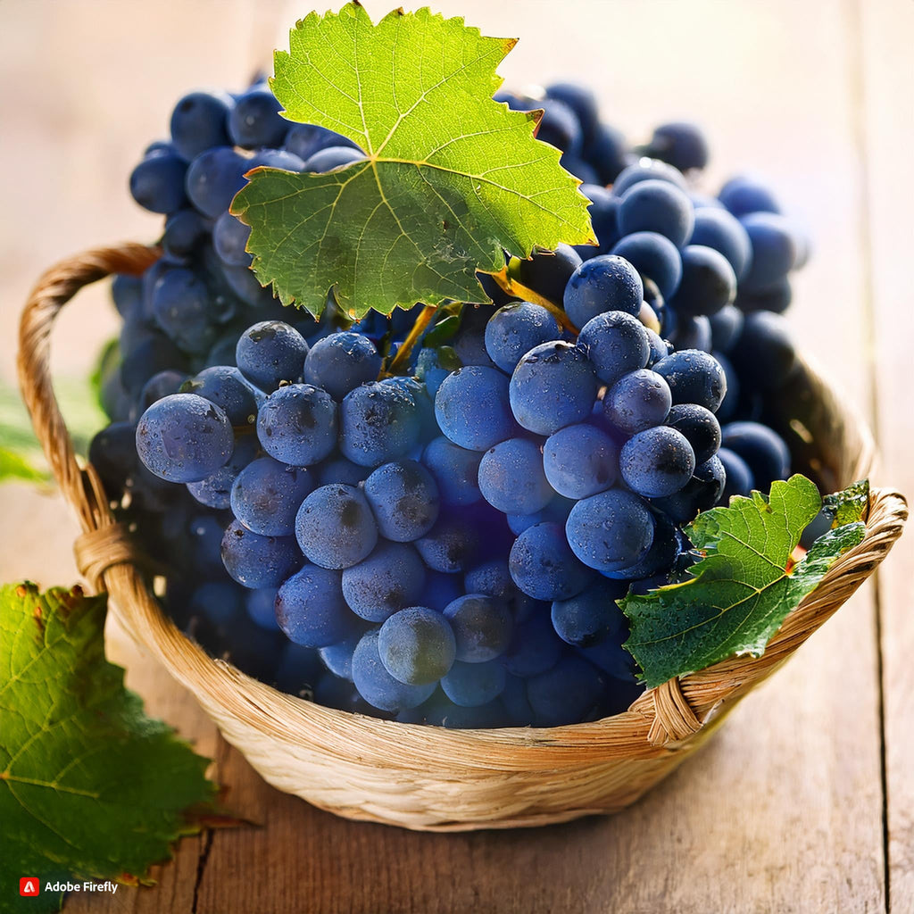 Concord Grape Food Flavouring - Professional High Strength - 250ml